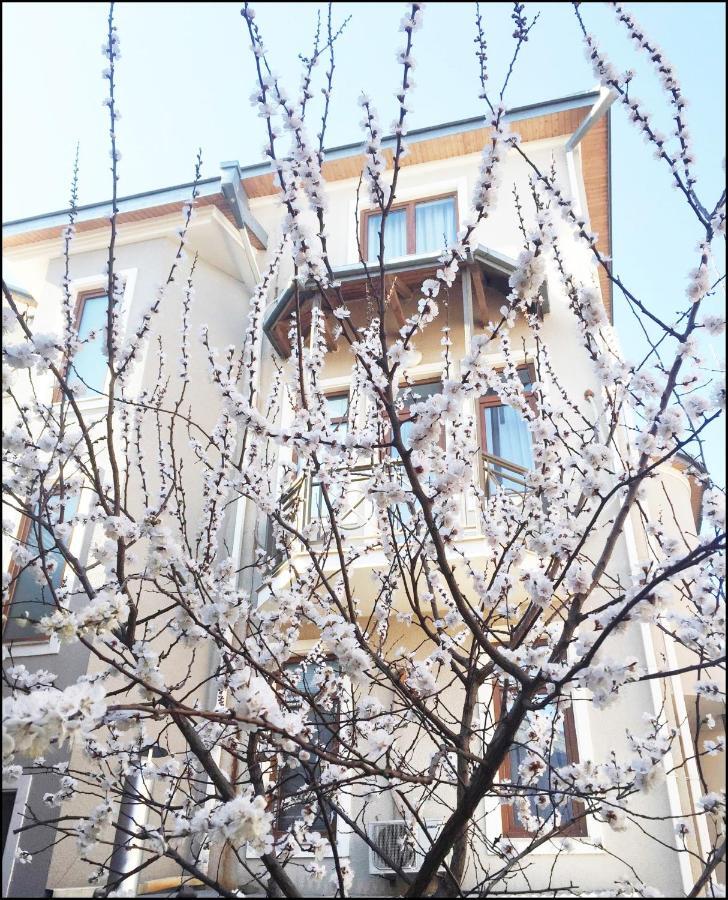 Aia Hotel Tbiliszi Kültér fotó